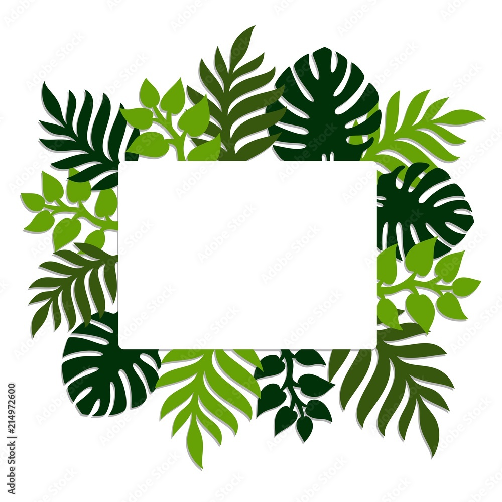 Summer tropical background with palm leaves. Place for text. Theme of plants. Vector floral background.