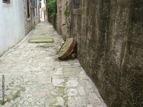 Kotor