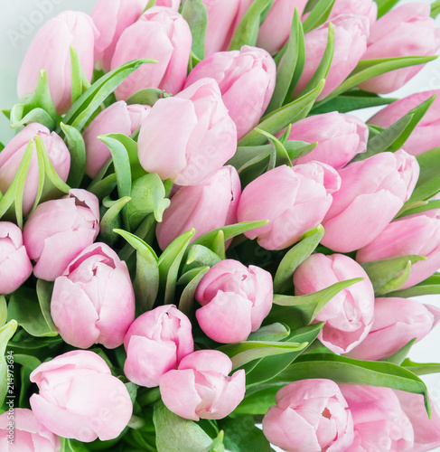 Pink tulip flowers
