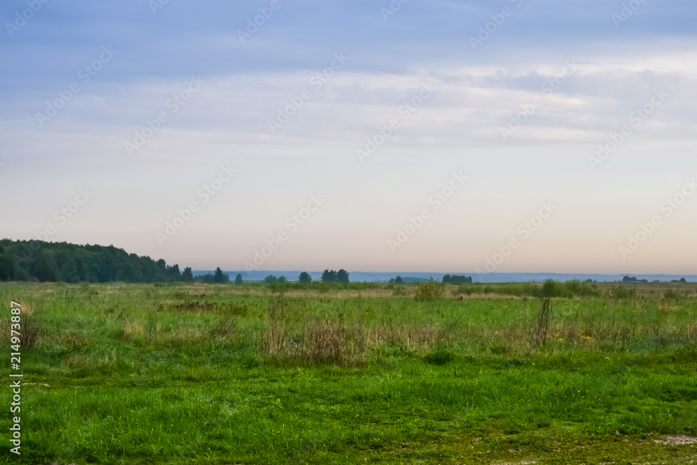 Grass field in the early morning. The sky with the morning glow