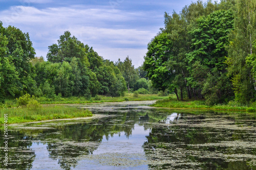 Beautiful view of the lake. The lake is covered with duckweed. The sky is in the clouds. Summer. Russia. Moscow region.