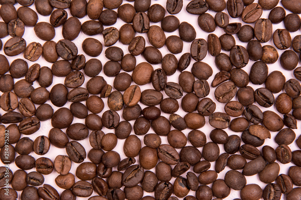 coffee seeds with colorful backgrounds
coffee seeds with colorful backgrounds