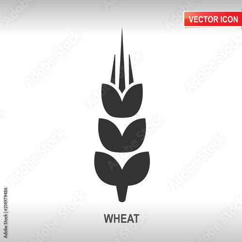 spica vector icon