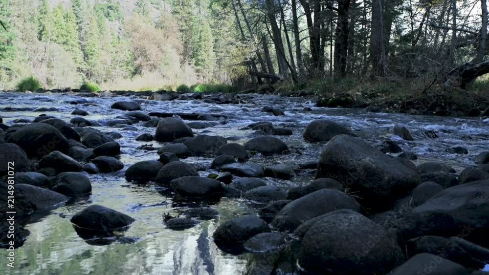River flowing in nature Yosemite National Park 4k River flowing in nature Yosemite National Park 4k