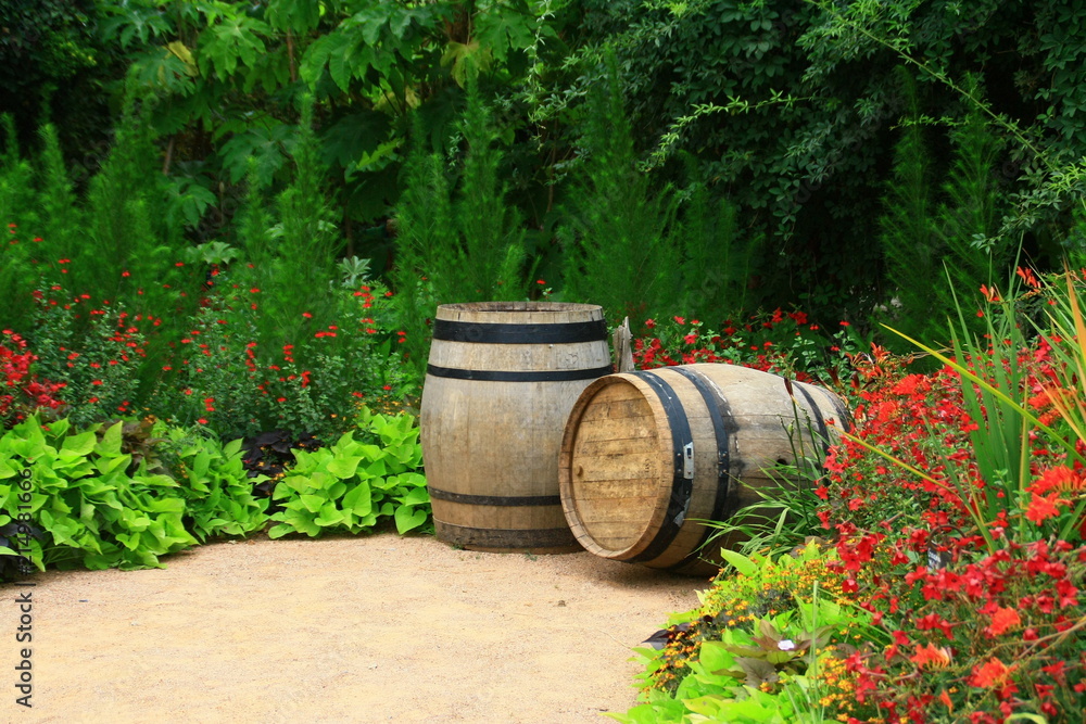 tonneaux,fûts de vin, aux pieds des vignes tonneaux,fûts de vin, aux pieds des vignes