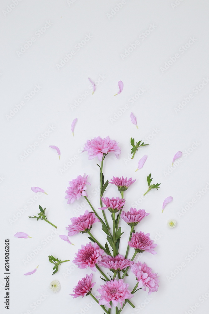 Fototapeta premium Flower Pattern Top View On Color Paper For Background