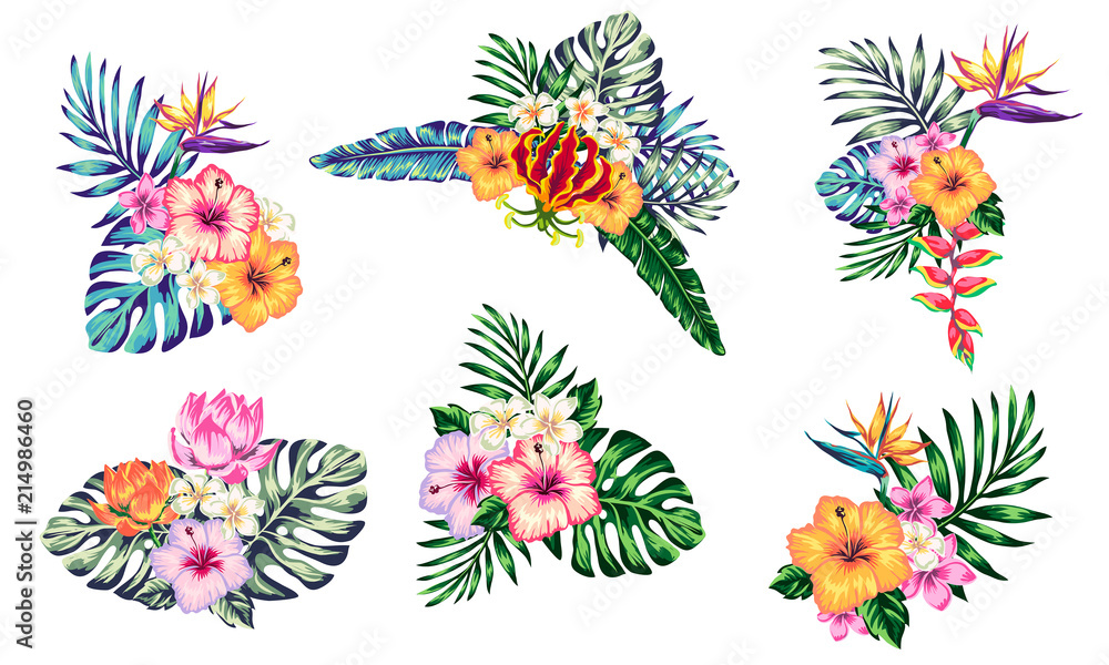 tropical collection with exotic flowers and leaves 