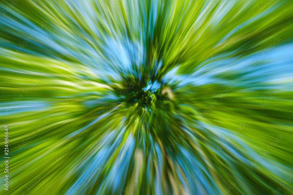 Obraz premium Abstract image of tree in countryside. Created by zooming out while closing shutter. Zoom speed blured motion.