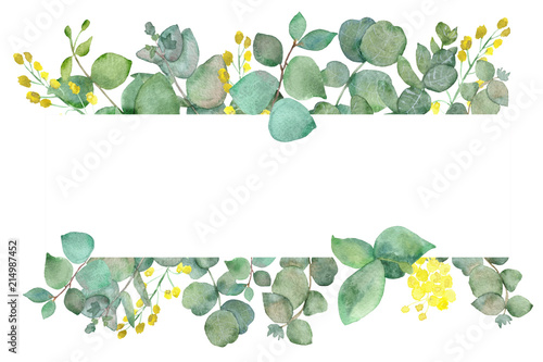 Watercolor hand painted green floral banner with silver dollar eucalyptus isolated on white background. Healing Herbs for cards, wedding invitation, posters, save the date or greeting design.