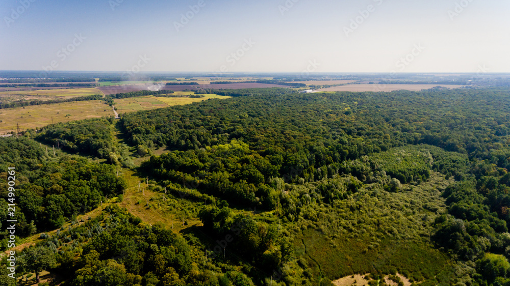 Aerial view of the forest and field.
