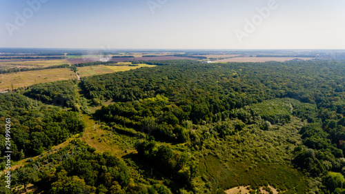 Aerial view of the forest and field.