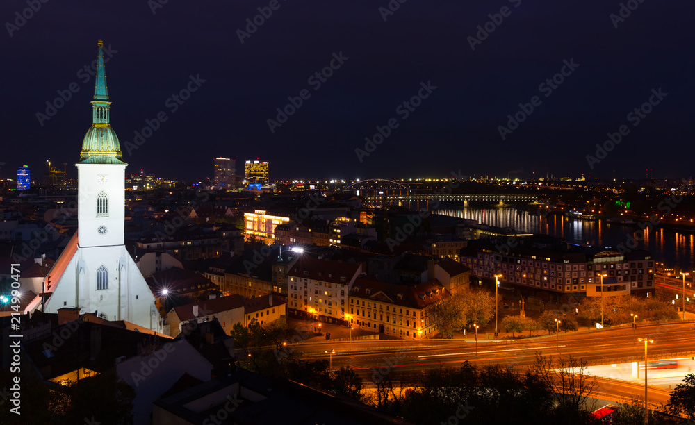 Image of view on St. Martin Cathedral