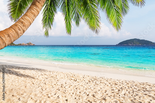 Fototapeta Naklejka Na Ścianę i Meble -  Coconut palm trees against blue sky and beautiful beach