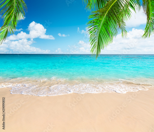 Coconut palm trees against blue sky and beautiful beach © preto_perola