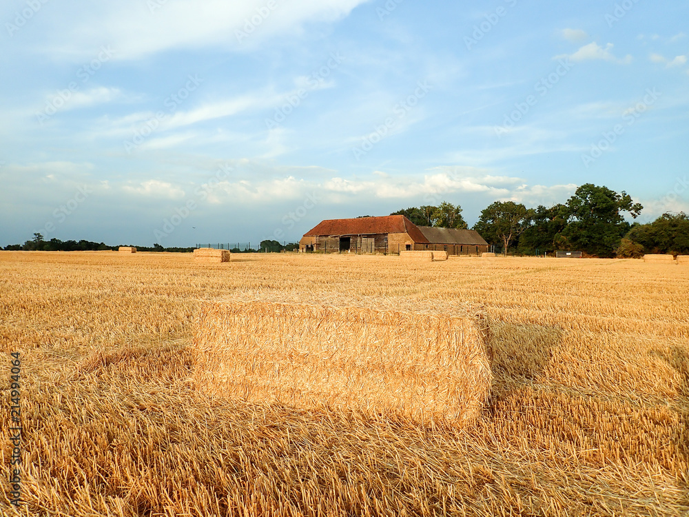 Fototapeta premium Hay bales on farmland, Sarratt, Hertfordshire