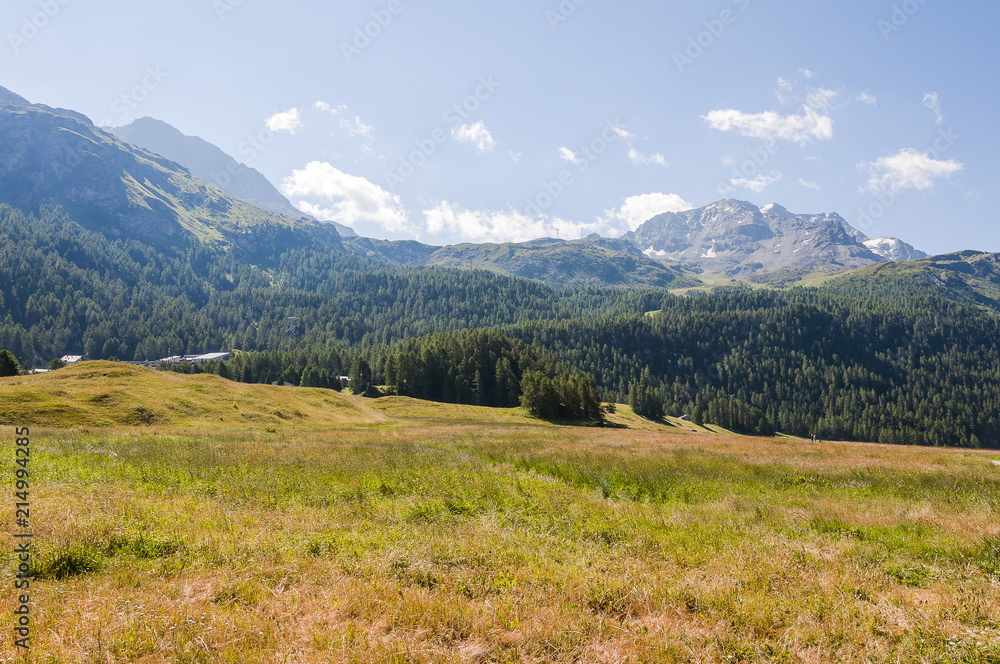 Fototapeta premium Surlej, Silvaplana, Corvatsch, Piz Corvatsch, Bergbahn, Wanderweg, Silvaplanersee, Oberengadin, Engadin, Malojawind, Wassersport, Graubünden, Alpen, Sommer, Schweiz