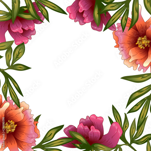 Peony frame flowers in a vector style. Frame border ornament square. Vector flower for background, texture, wrapper pattern, frame or border.
