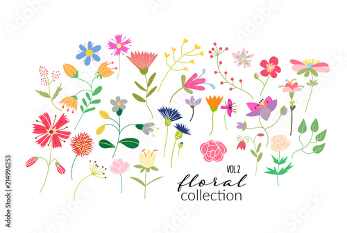 wild flower meadow illustration. floral elements. romantic hand drawn flowers and leaves collection.