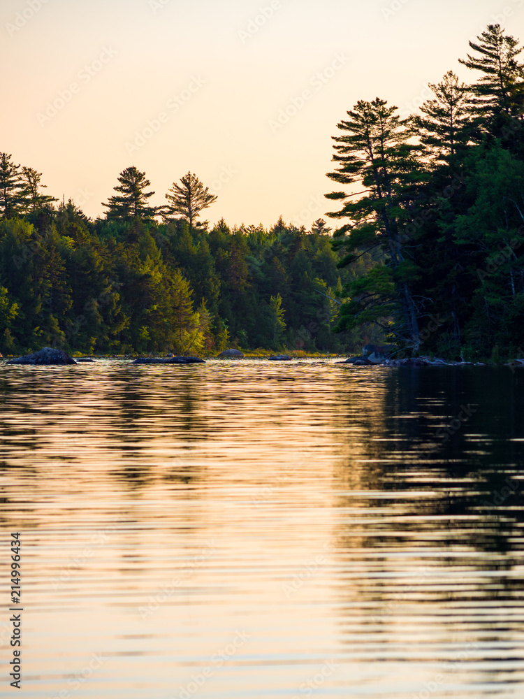 Naklejka premium Sunset on Water, Forest River, Penobscot River, Maine