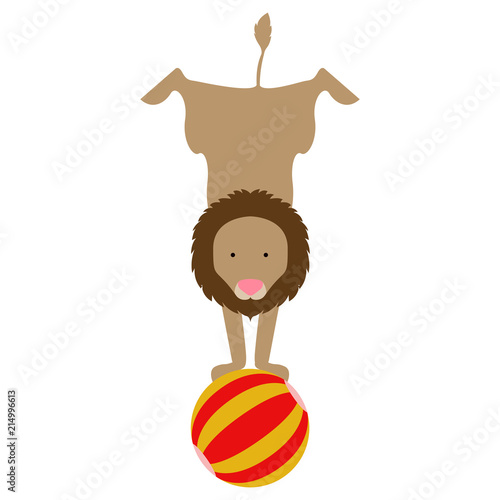 Fototapeta Naklejka Na Ścianę i Meble -  Isolated circus lion