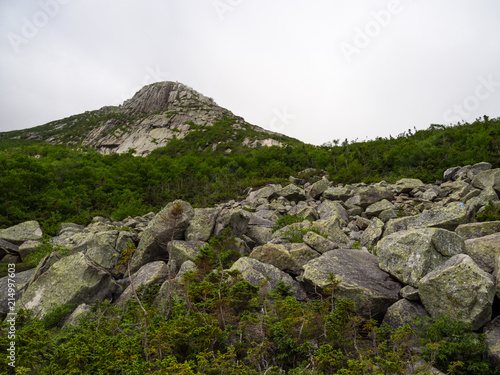 Mountain Ridge, Rocky Trail Through Forest, Katahdin, Cathedral Trail photo