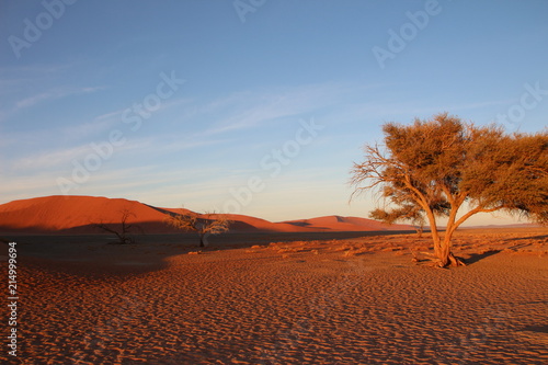 Düne in der Namibwüste