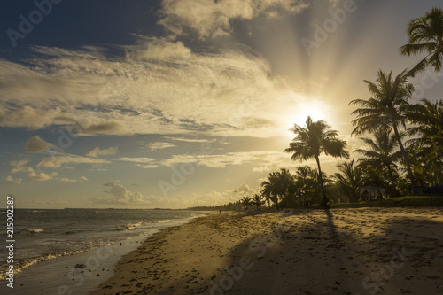 Beautiful sunset over the sea with a view at palms on the beach of Praia do forte, Bahia, Brazil