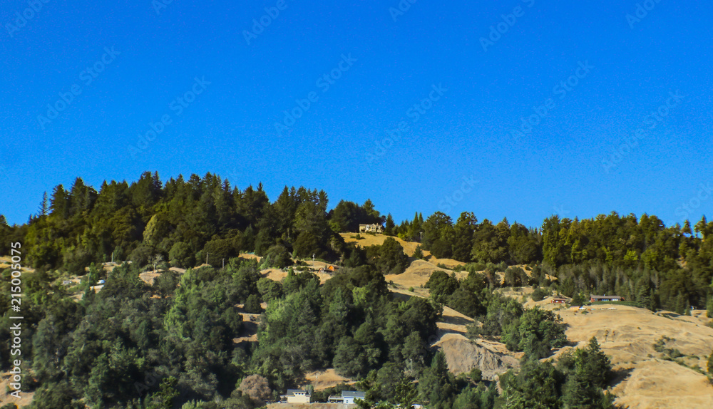 Houses built in the hills north of San Franscisco surrounded by blufs and evergreen trees under a very blue sky