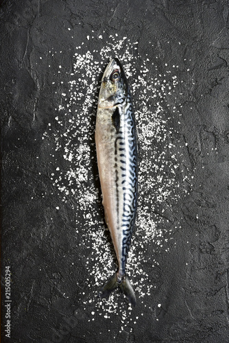 Whole raw organic fish mackerel with sea salt.Top view with copy space.