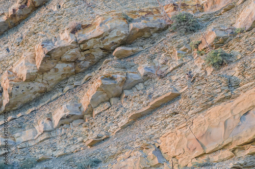 Rock naked breed on a cliff, rocks near the sea.