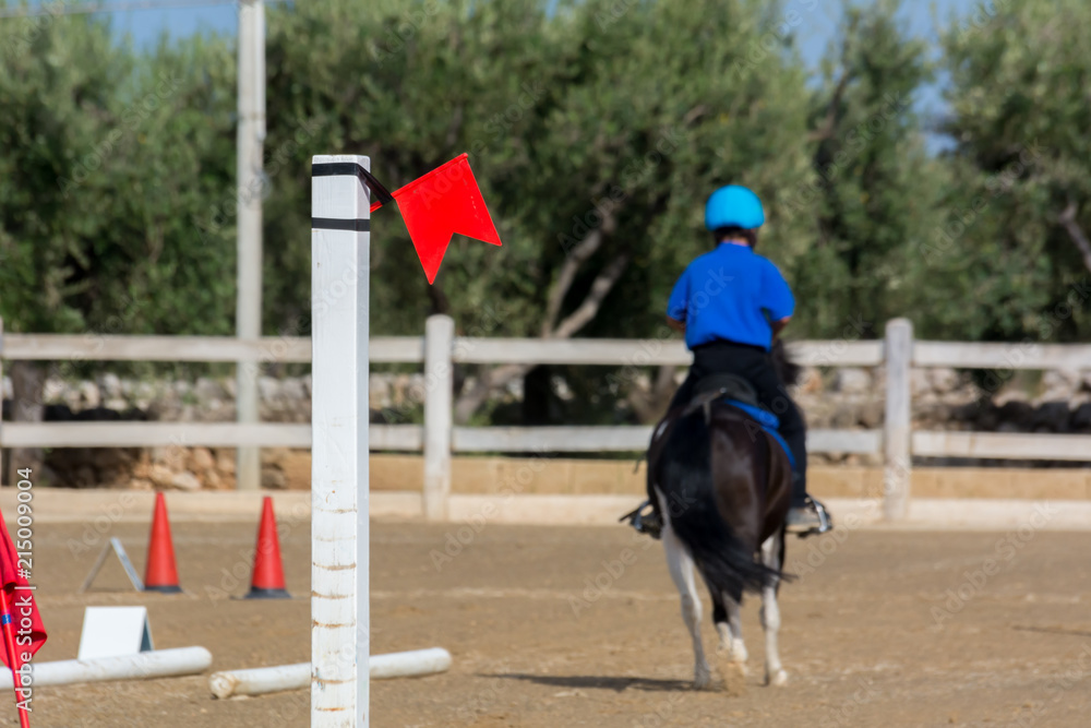 Close Up of Obstacles on Blur Man Riding a Horse in a Riding School during a Competition on Blur Background Close Up of Obstacles on Blur Man Riding a Horse in a Riding School during a Competition on Blur Background