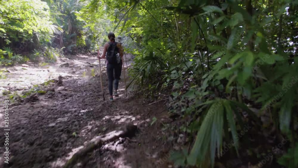 Woman in athletic clothing hiking or walking next to a small stream in the rainforest jungle of Colombia. Woman in athletic clothing hiking or walking next to a small stream in the rainforest jungle of Colombia.