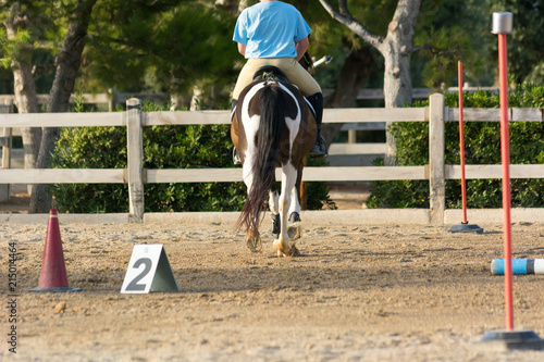 Horse Galloping on Blur Background at the Equestrian Competition.