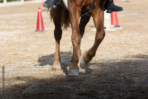 Man Riding a Horse in a Riding School during a Competition on Blur Background