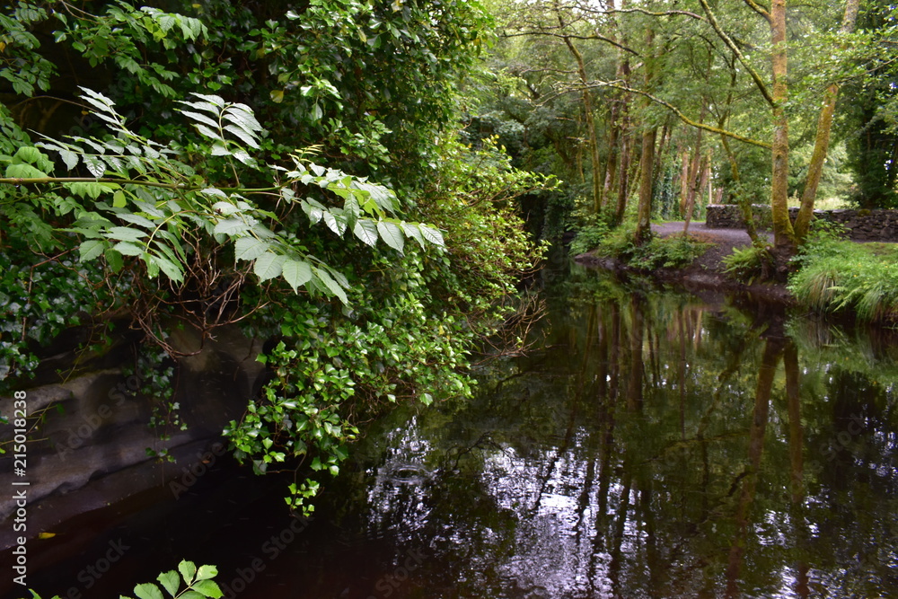 Castle Moat Castle Moat