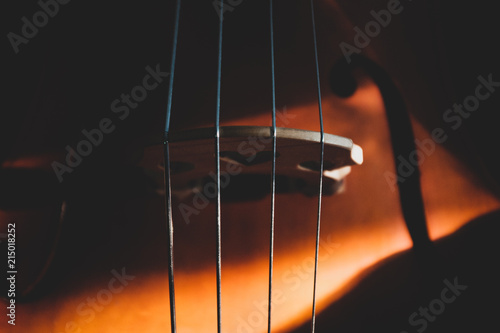 Obraz na plátne Upright Bass Abstract II