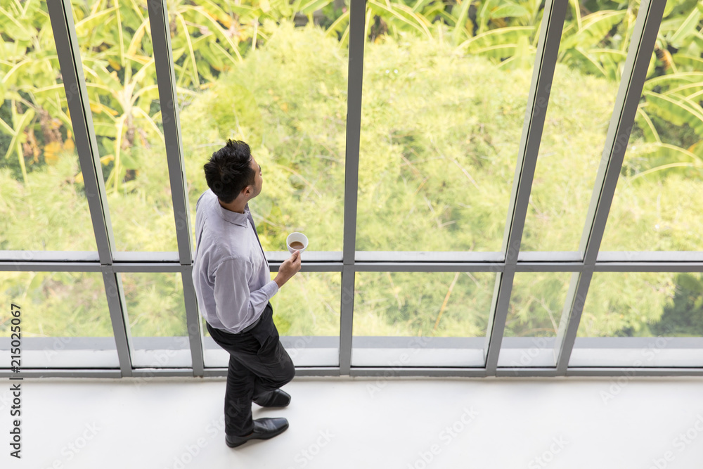 Young businessman holding a cup of coffee standing the window looking away, with a green tree as a background. Young businessman holding a cup of coffee standing the window looking away, with a green tree as a background.