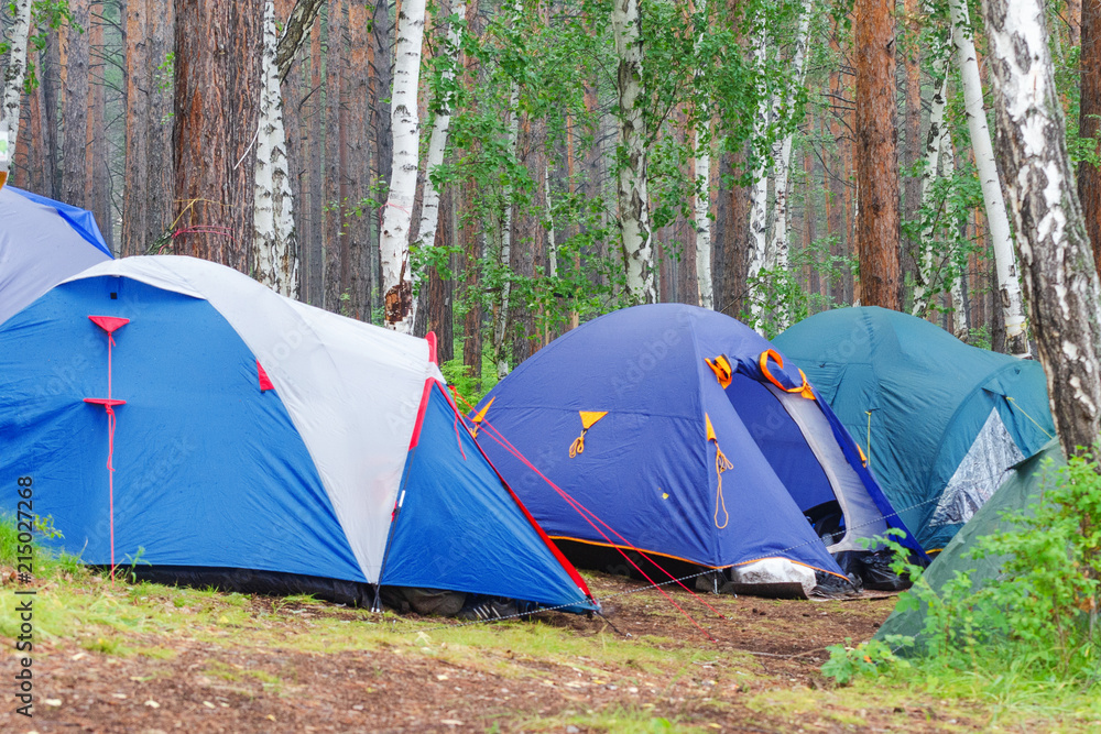 campground in the forest, tourism