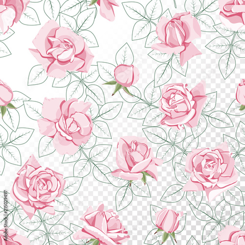 Pink roses and a contour of leaves. Floral seamless pattern on isolated background.