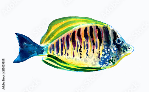 Watercolor tropical fish