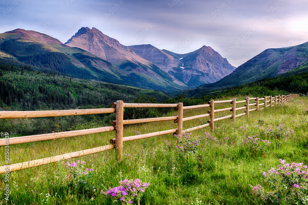 Fototapeta premium Last Wooden Fence to Canadian Rocky Mountains