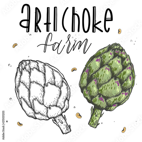 Vector vegetables artichoke in a realistic sketch style. Healthy food, natural product, vegetable farm, vegan food, sports nutrition. Vintage illustration. Color and black line.