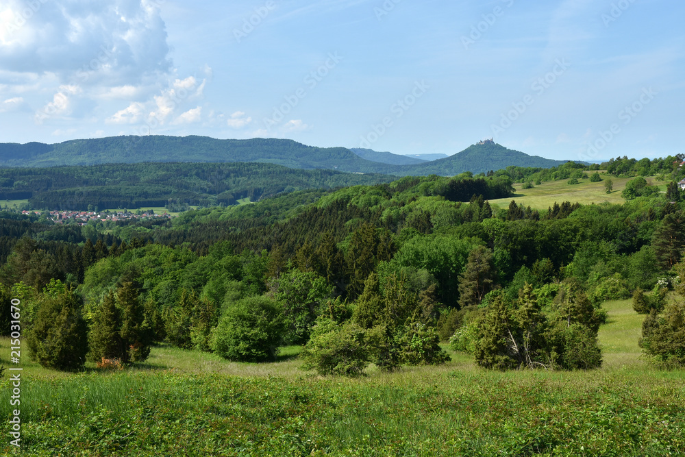 Wacholderheide am Fuße der Schwaebischen Alb bei Beuren