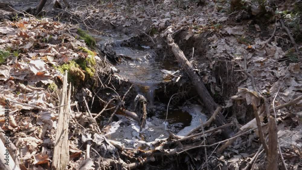 Stream in the middle of the wood with a small fall Stream in the middle of the wood with a small fall