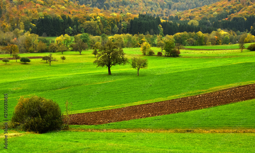 Fototapeta premium Herbstlandschaft auf der Schwaebischen Alb