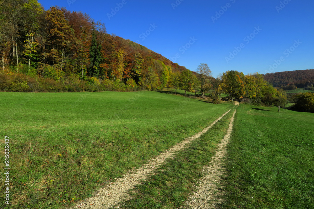 Fototapeta premium Herbst auf der Schwaebischan Alb