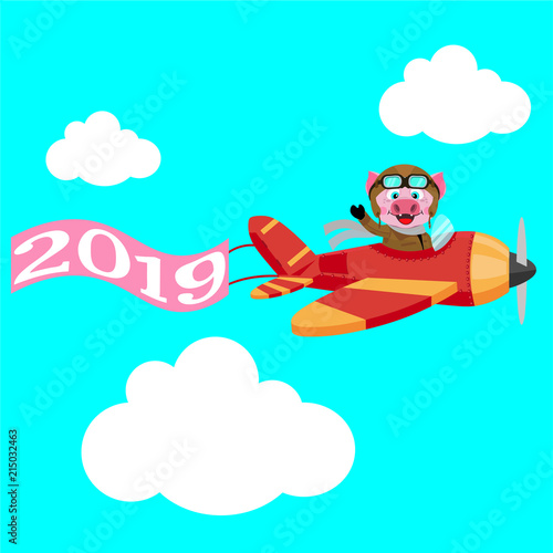 Piggy pilot on the plane and the developing flag by 2019.