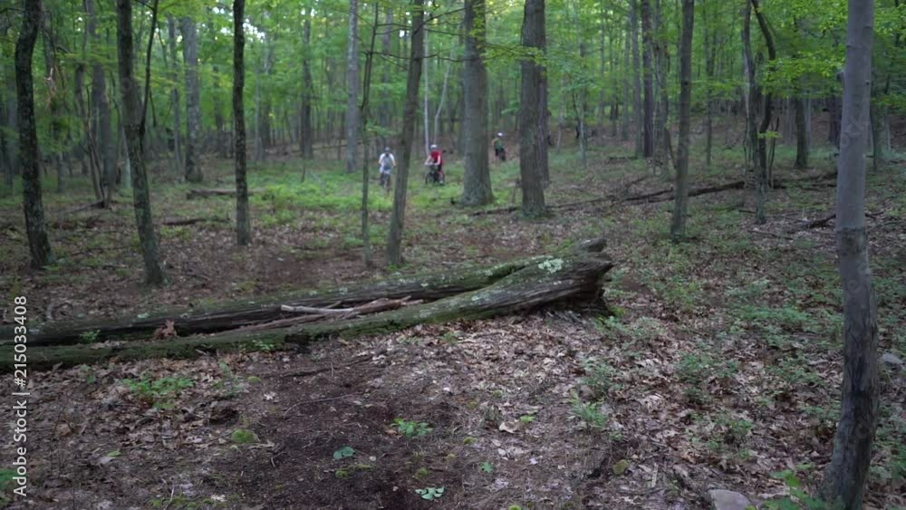 Closeup of a mountain biker jumping over a log in a lush forest. Closeup of a mountain biker jumping over a log in a lush forest.