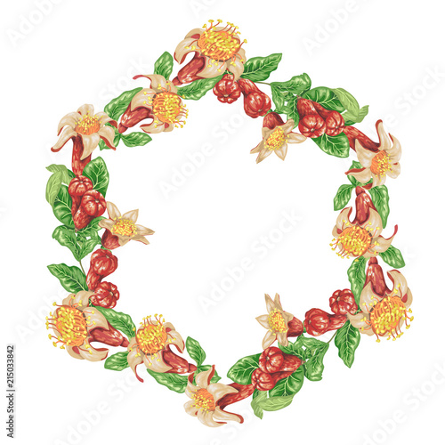 Wreath frame with pomegranate flowers and blooming fruits in vector