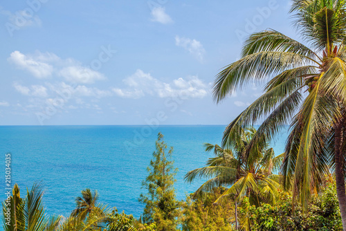 Tropical landscape with sea and palm trees.